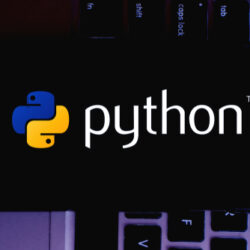 python logo